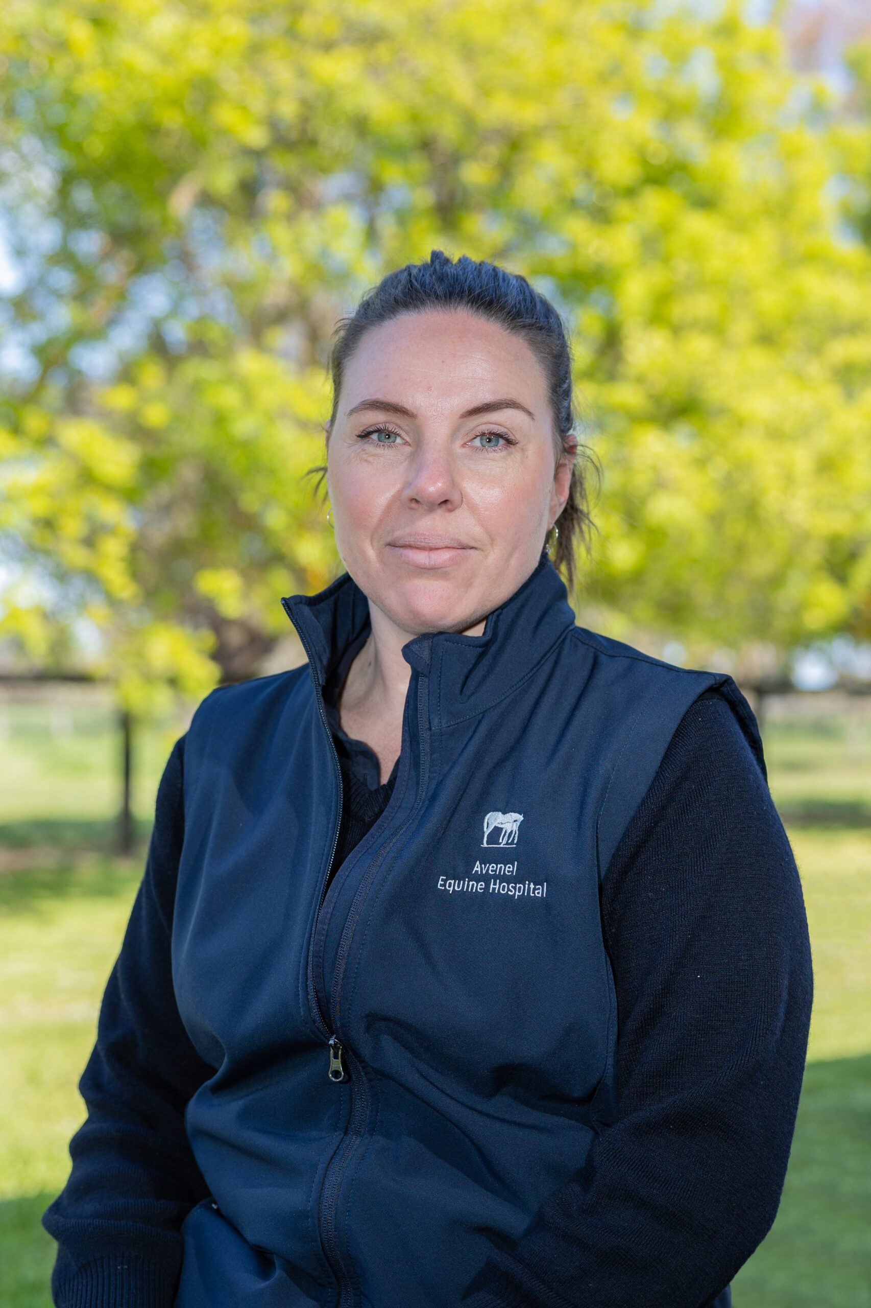 Our Team Avenel Equine Hospital