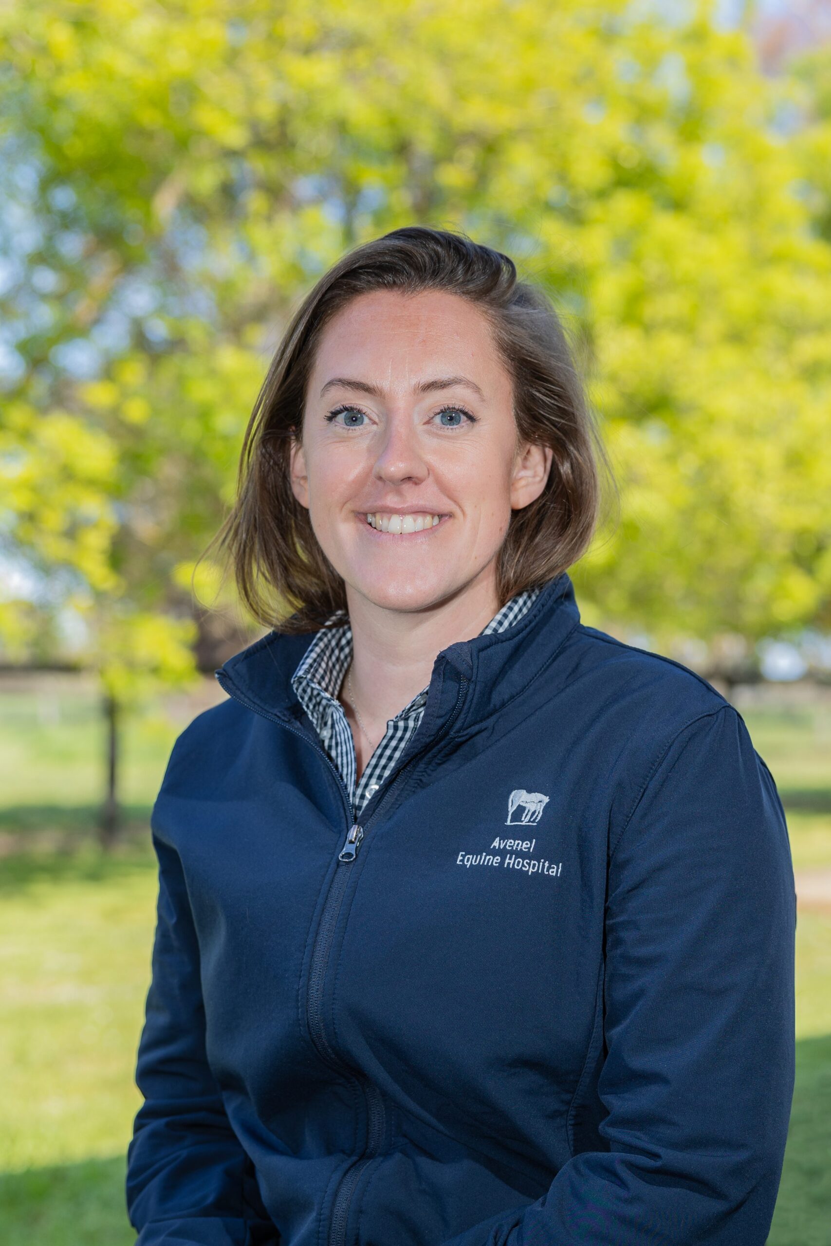 Our Team Avenel Equine Hospital